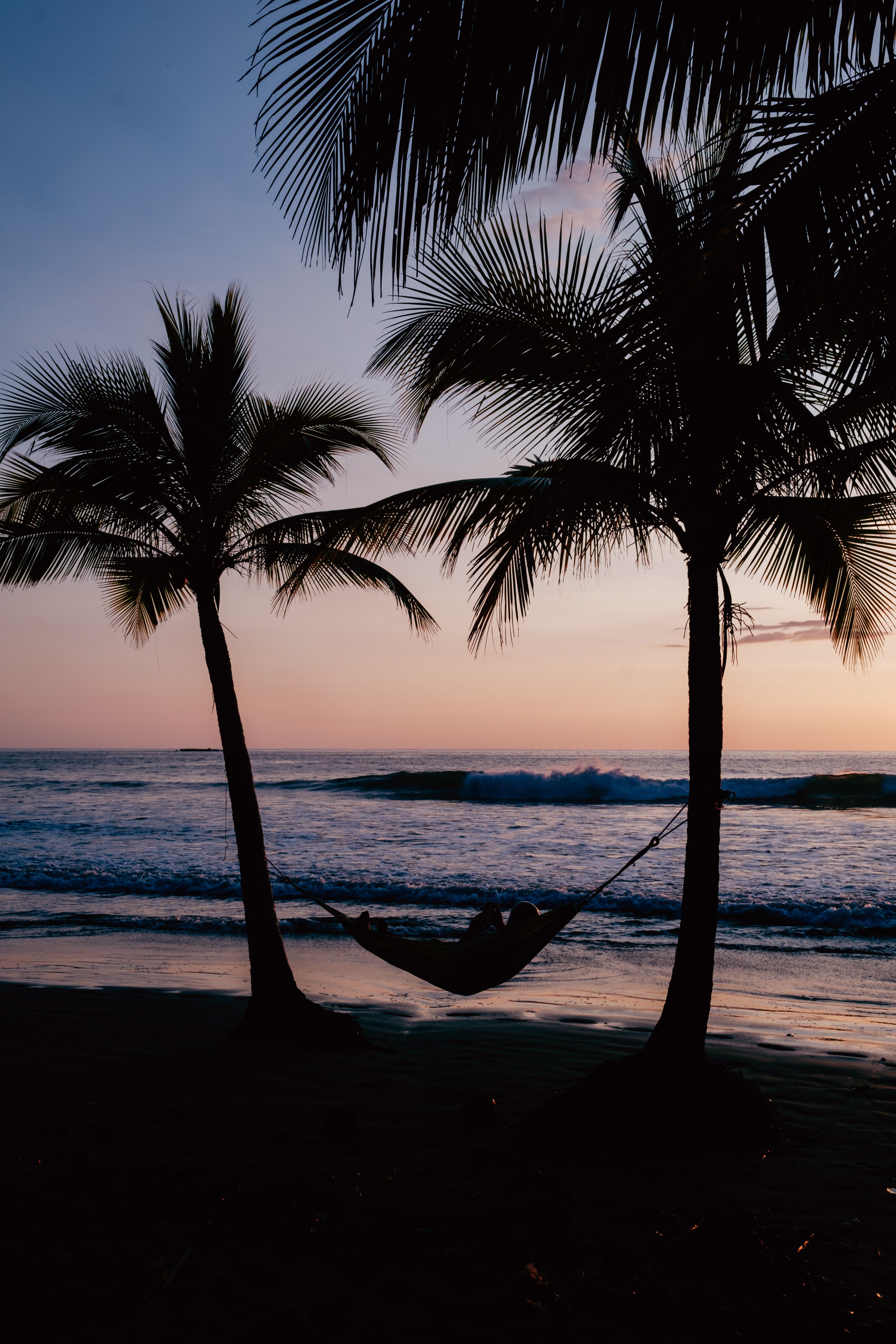 Hammock strung between palms as the sun sets over the Pacific