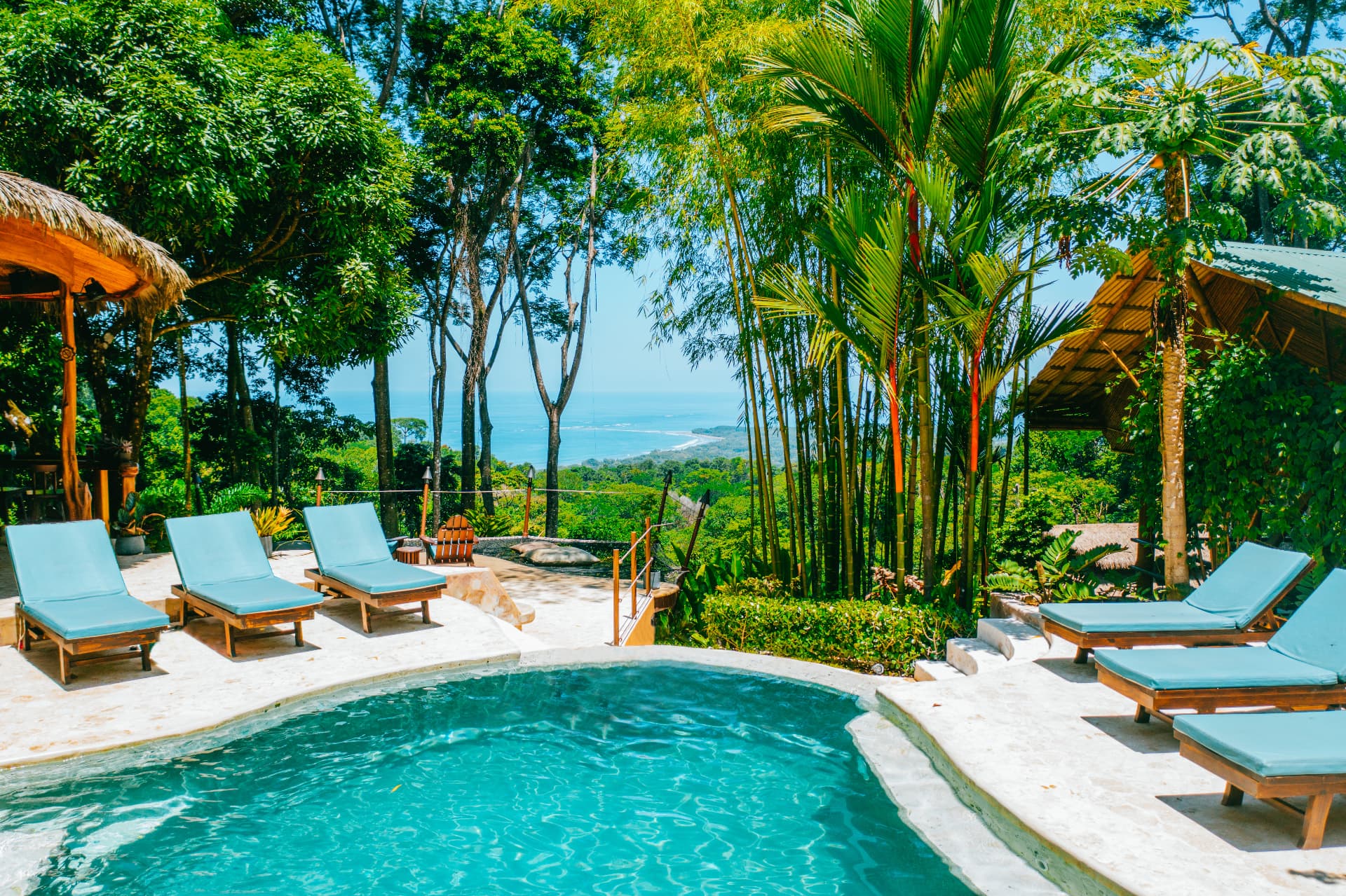 Aerial view of the pool deck and bamboo palapa surrounded by rainforest