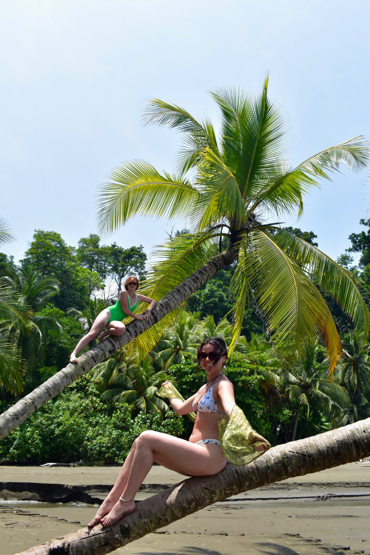 Two friends posing together on the leaning beach palms