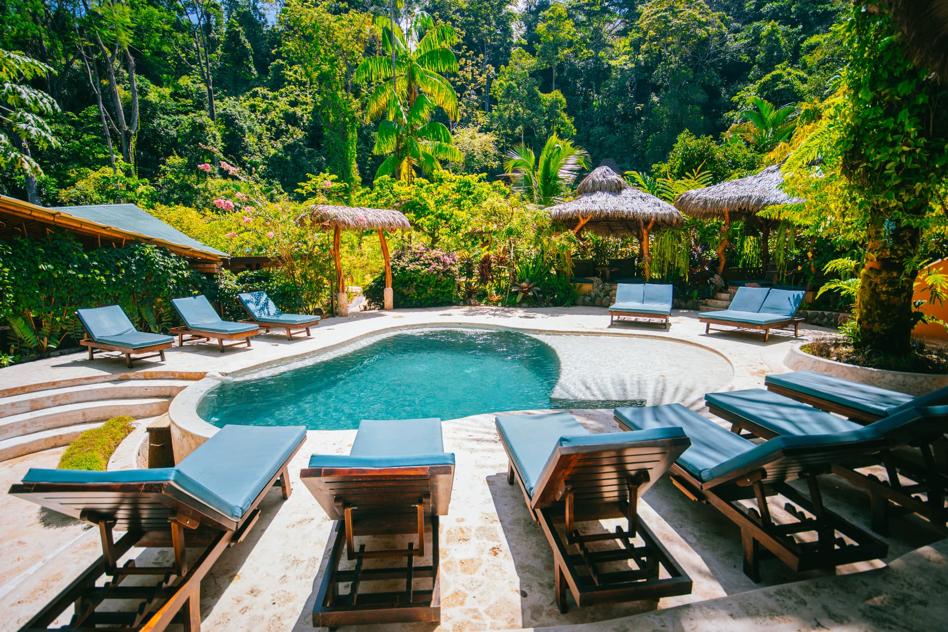 The salt water pool at Selva Armonia on a bright day
