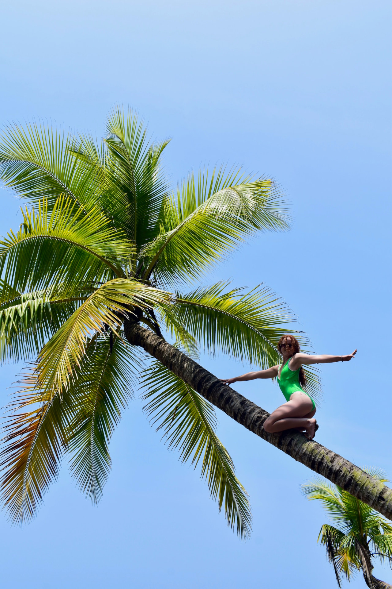 Guest balancing on a leaning palm above the beach