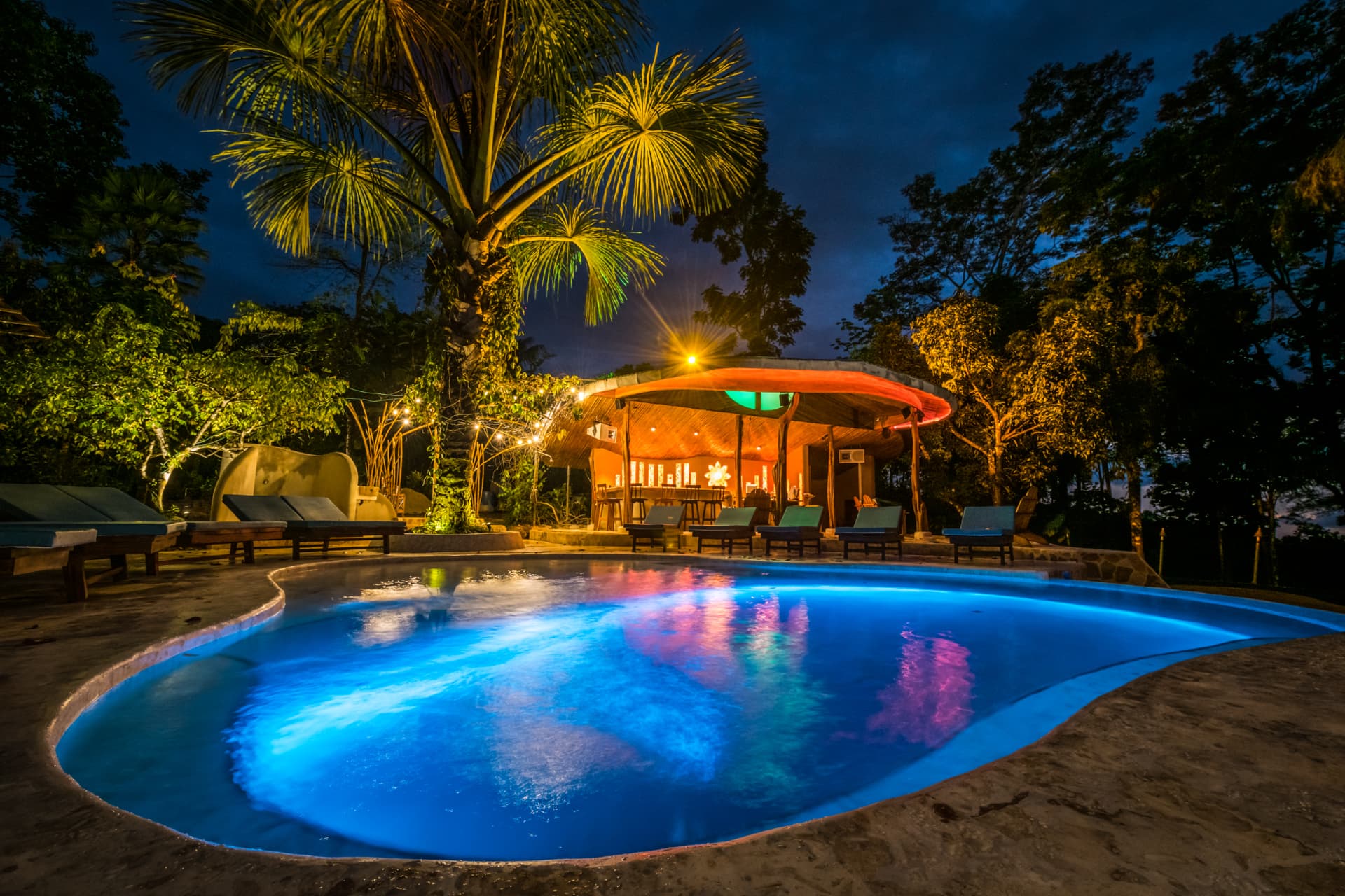 The poolside bar at blue hour with the jungle behind