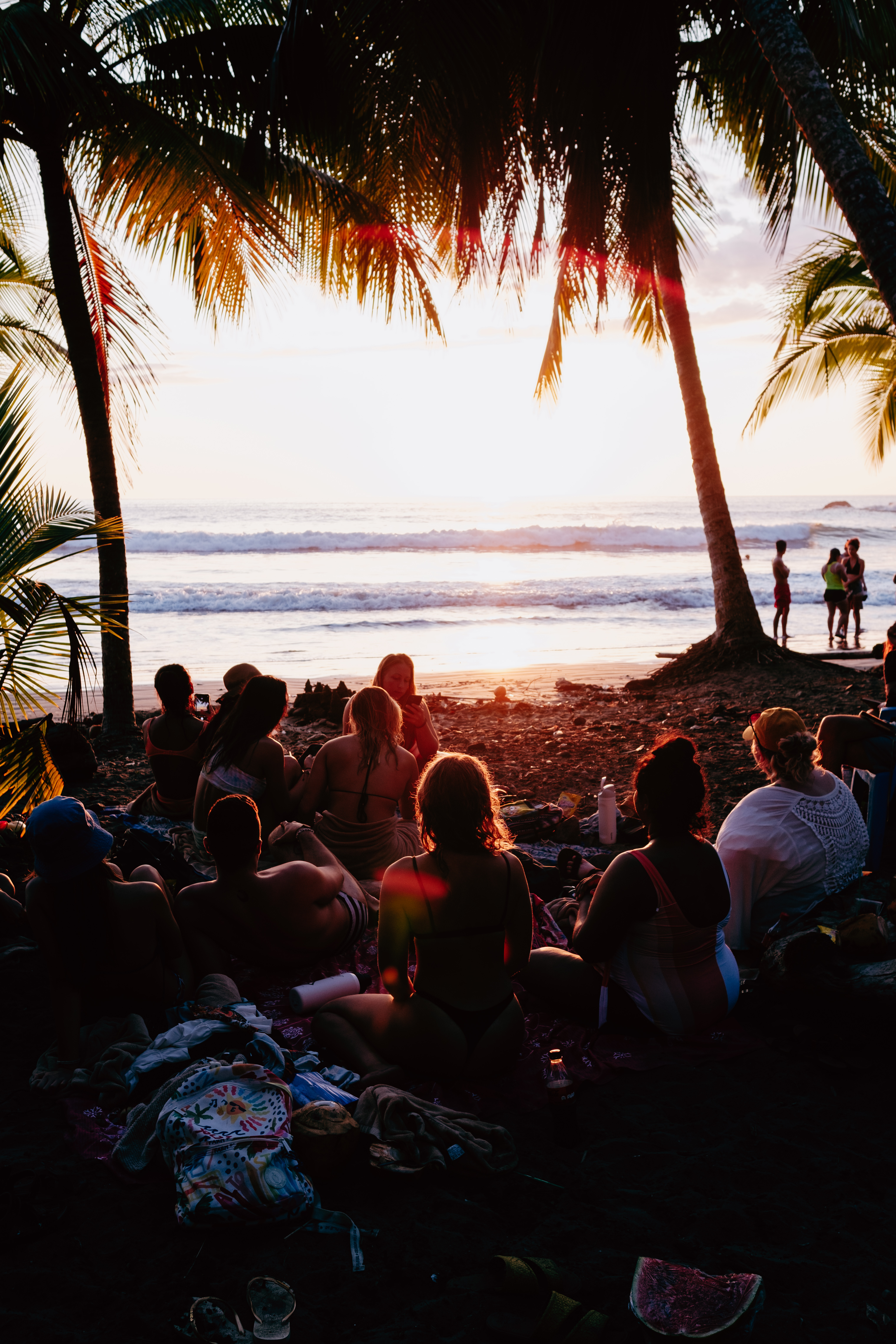 The group watching sunset from the beach under the palms