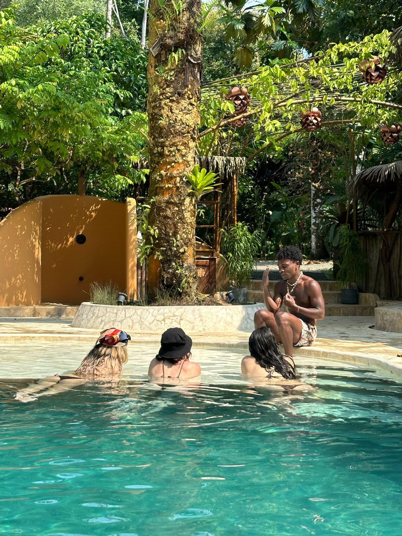 Afternoon in the pool surrounded by jungle