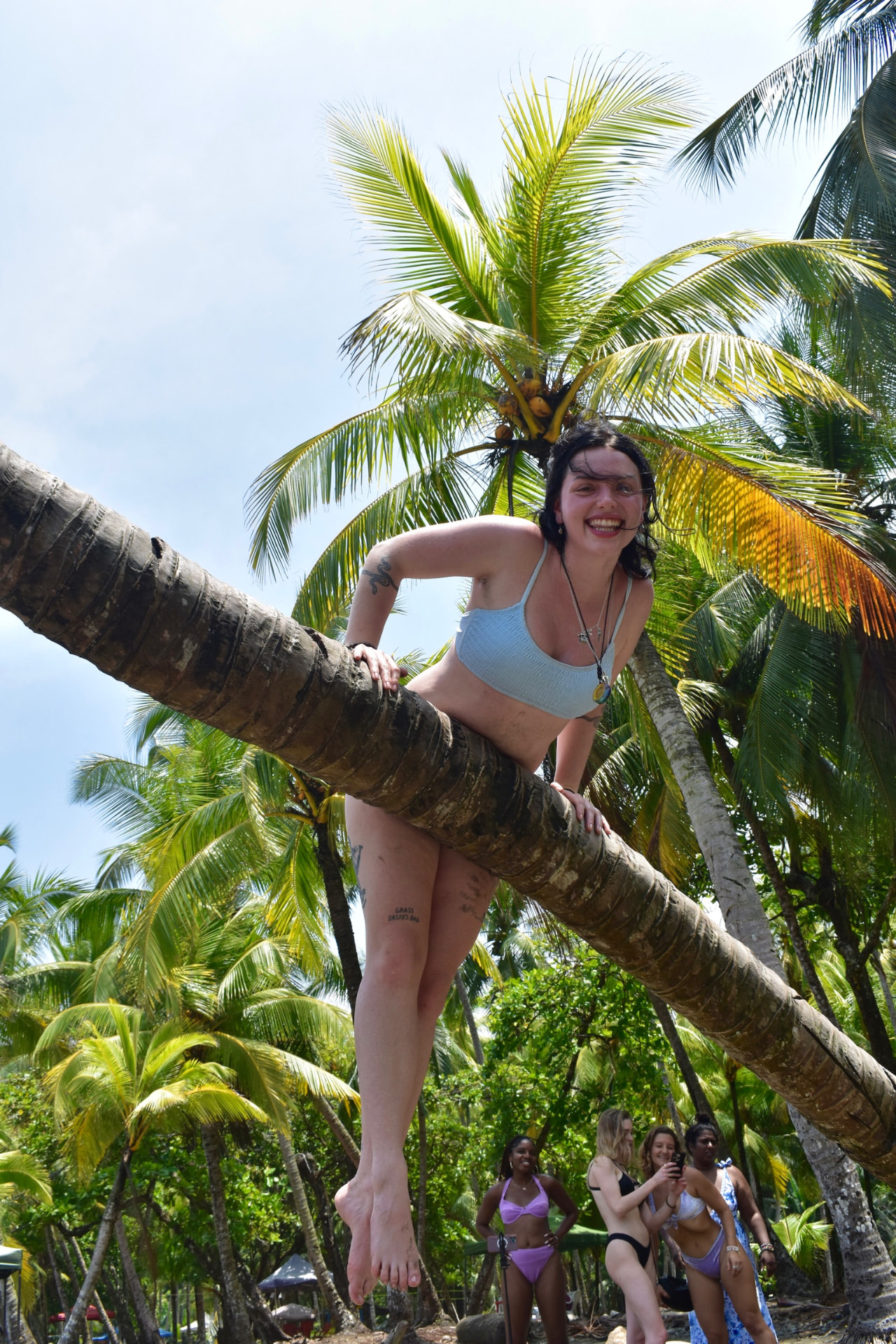 Guest laughing while climbing a leaning palm