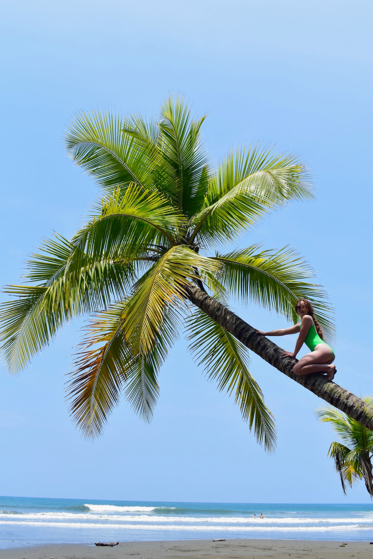 Climbing a leaning palm over the beach with the surf behind