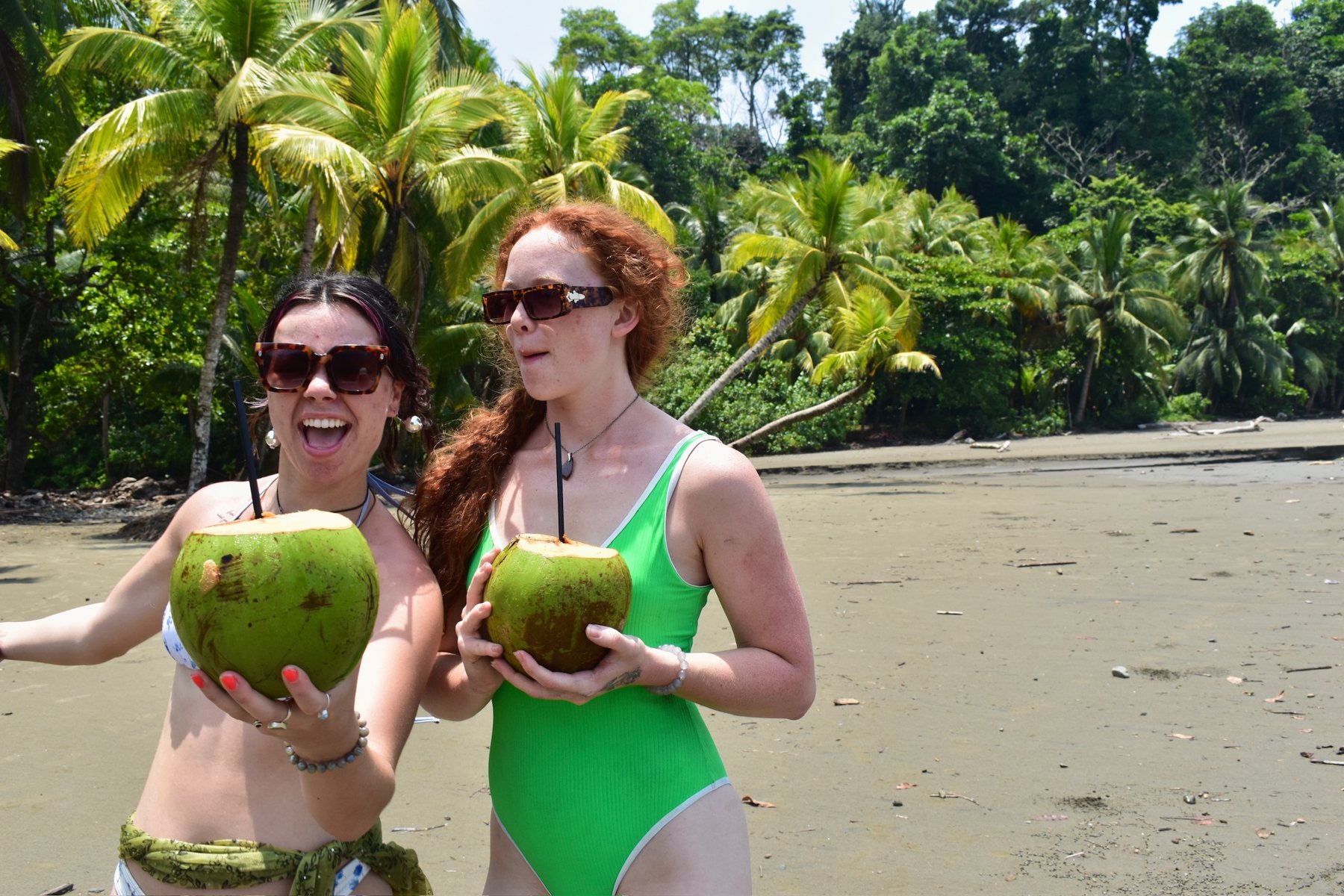 Fresh coconuts on the beach